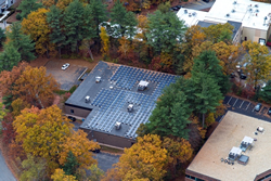 Solar Array at Wilevco's Facility